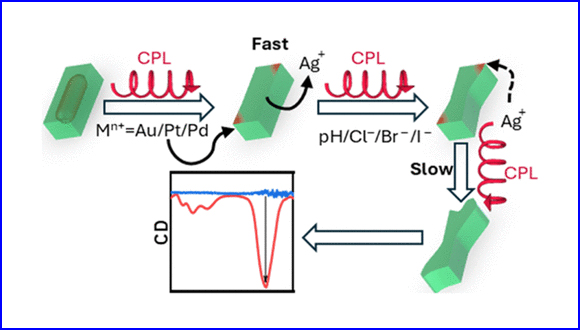 Chiral Plasmonic Excitation-Controlled Galvanic Replacement Reaction