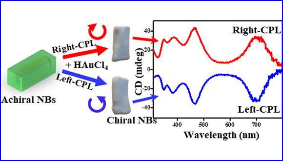 Chiral Symmetry Breaking in Colloidal Metal Nanoparticle Solutions by Circularly Polarized Light