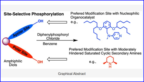 Controlling site selectivity in the phosphorylation of amphiphilic diols: aminopyridine organocatalysts vs. stoichiometric amine bases