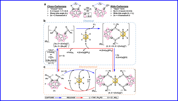 Redox-switchable carboranes for uranium capture and release