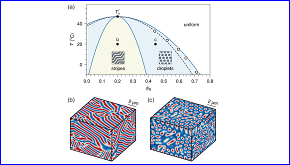 Theory of microphase separation in elastomers