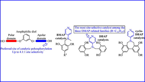 Tuning the Structure of 4-Aminopyridine Catalysts for Improved Activity and Selectivity in Functionalization of Alcohols