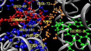 Physical Chemistry Seminar