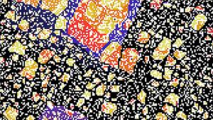 Biological & Soft Matter Seminar