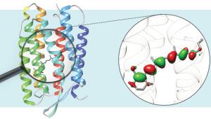 Frontiers in Multiscale Modelling of Photoreceptor Proteins